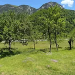 Bujtina Frati